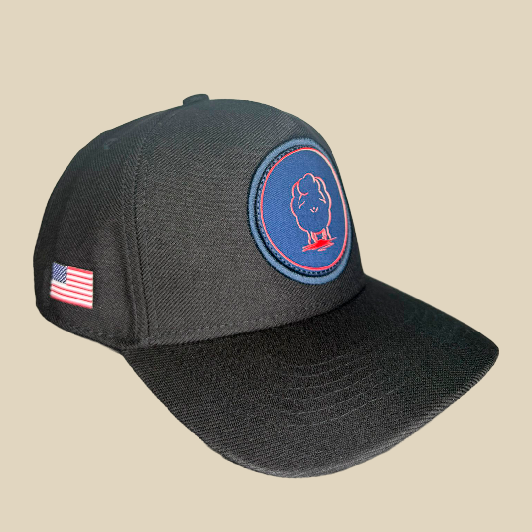 Home of the brave
